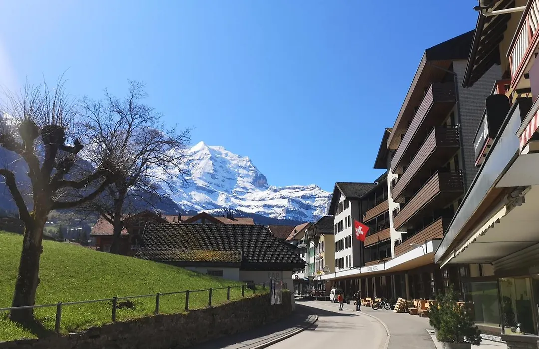 Swiss Lodge Hotel Bernerhof-1