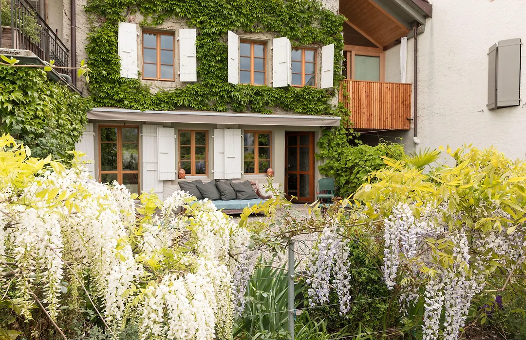 Wonderlandscape Guest House-1