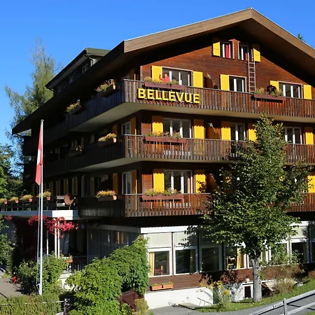 Hotel Bellevue - Traditional Swiss Hideaway-2