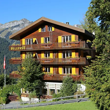 Hotel Bellevue - Traditional Swiss Hideaway-3