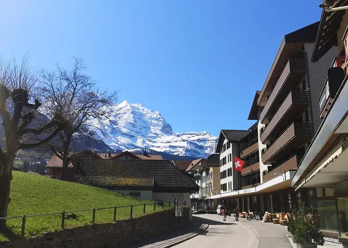 Swiss Lodge Bernerhof