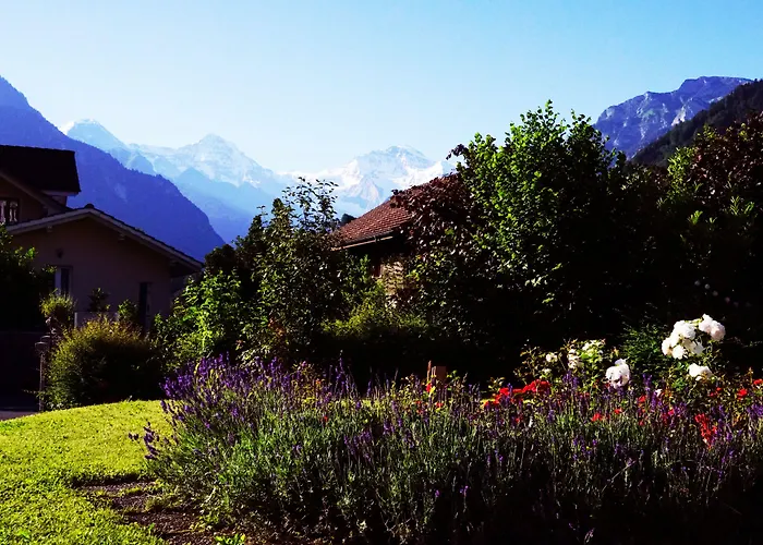 Adventure Interlaken