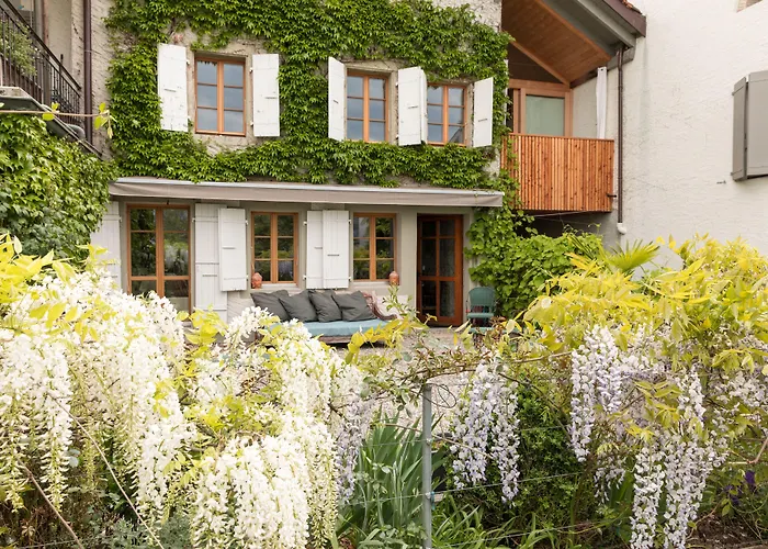 Wonderlandscape Guest House Le Grand Saconnex