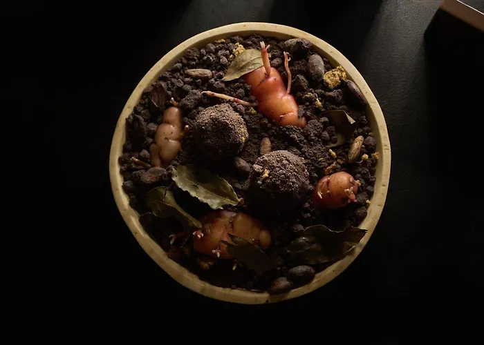 Hotel Rothaus Luzern&Peruvian Culinary Art